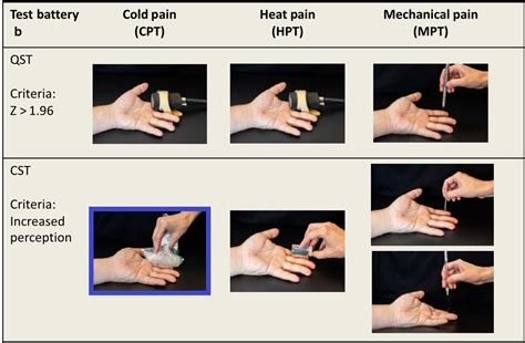 sensory exam for pain